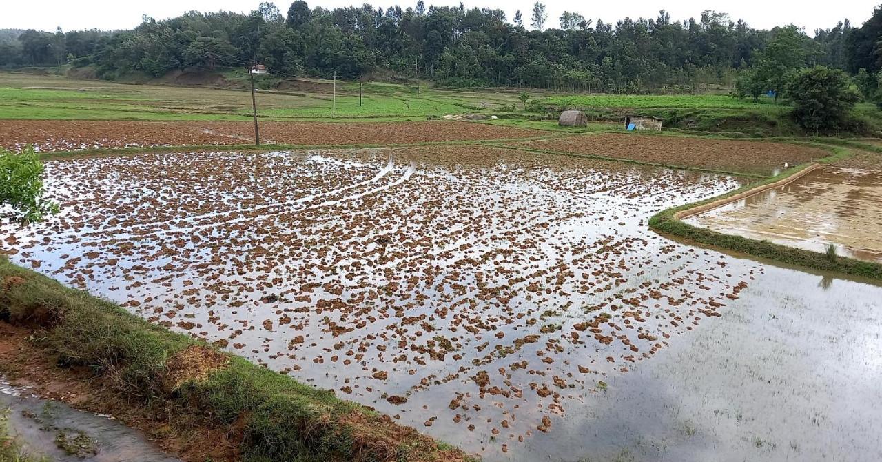 Coorg Coffee Park Farmstay Somvarpet Ngoại thất bức ảnh