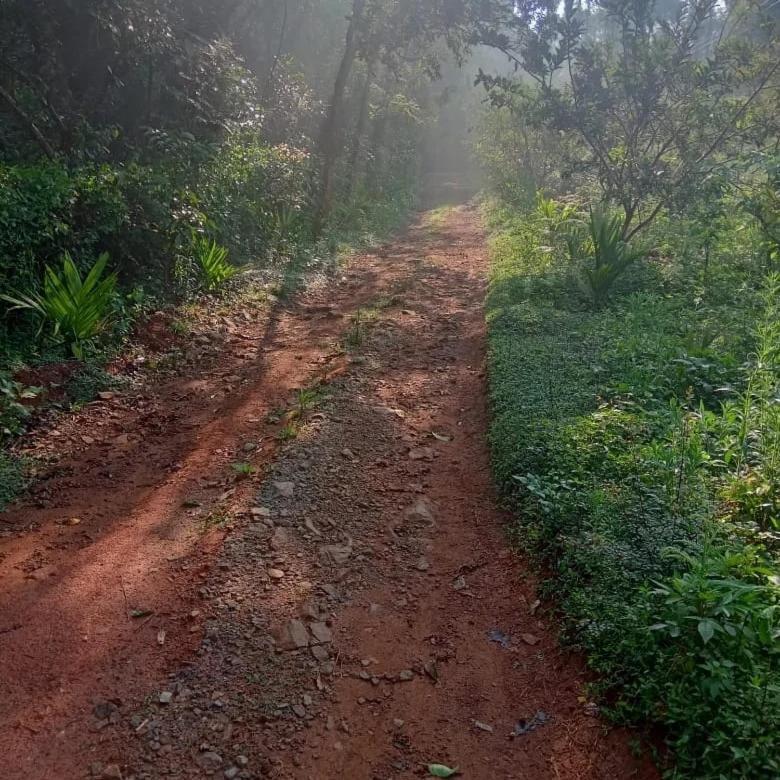 Coorg Coffee Park Farmstay Somvarpet Ngoại thất bức ảnh