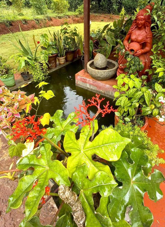 Coorg Coffee Park Farmstay Somvarpet Ngoại thất bức ảnh