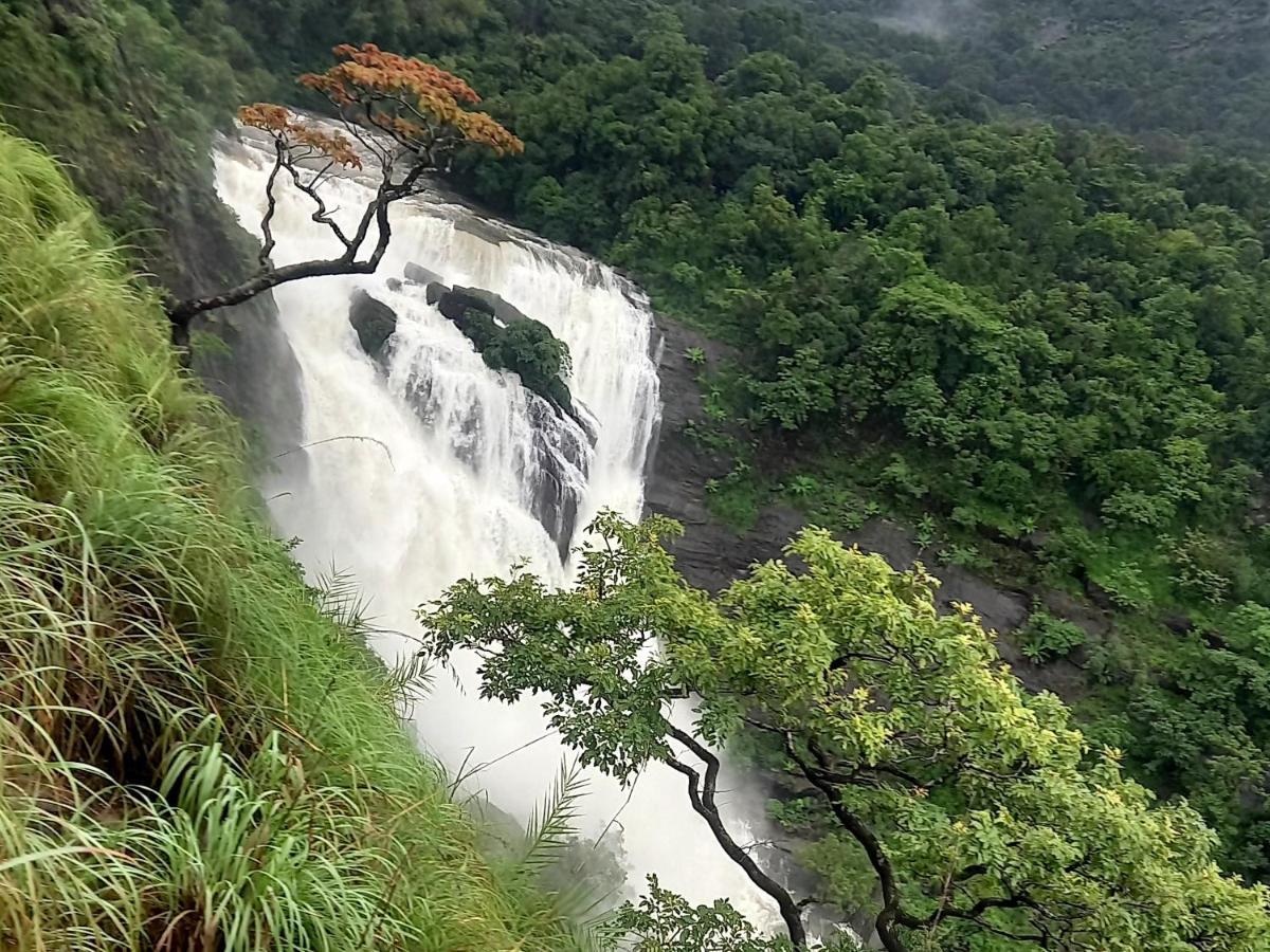 Coorg Coffee Park Farmstay Somvarpet Ngoại thất bức ảnh