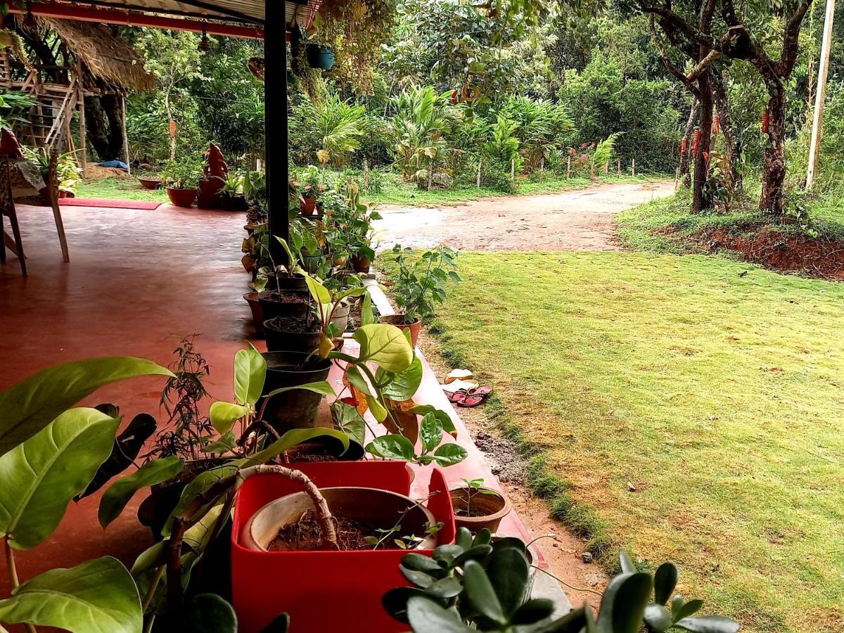 Coorg Coffee Park Farmstay Somvarpet Ngoại thất bức ảnh