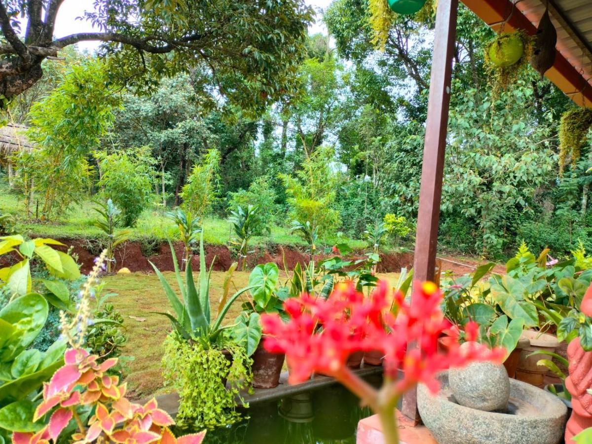 Coorg Coffee Park Farmstay Somvarpet Ngoại thất bức ảnh