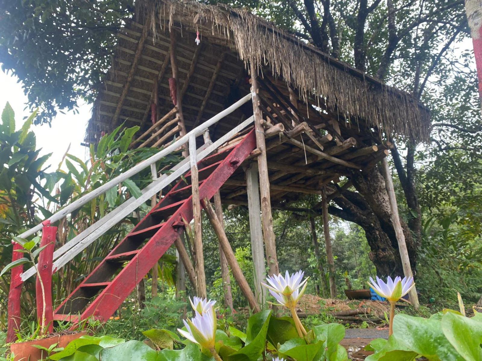 Coorg Coffee Park Farmstay Somvarpet Ngoại thất bức ảnh